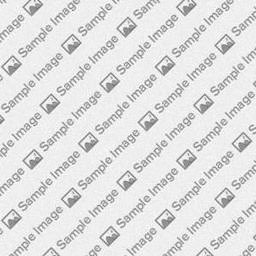 Latest News Particle